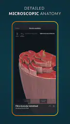 Complete Anatomy 8