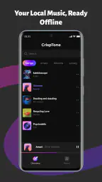 CrispTone: Offline Music 1