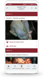 Dampfguide 6