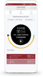 Dampfguide 7