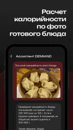 DEMIAND рецепты для аэрогриля 5
