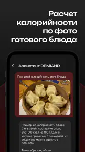 DEMIAND рецепты для аэрогриля screenshot