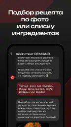 DEMIAND рецепты для аэрогриля 7