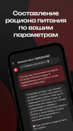 DEMIAND рецепты для аэрогриля 8