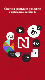 Denník N 8