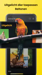 Dierengeluiden & Vogelgeluiden 2