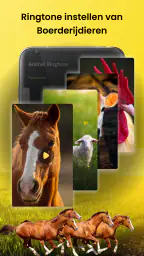 Dierengeluiden & Vogelgeluiden 3