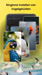 Dierengeluiden & Vogelgeluiden 4