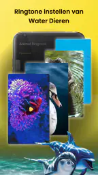 Dierengeluiden & Vogelgeluiden 5