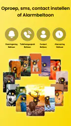 Dierengeluiden & Vogelgeluiden 7