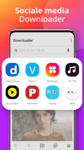 Downloader screenshot