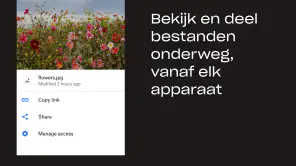 Dropbox: Documenten in Drive screenshot