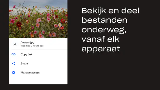Dropbox: Documenten in Drive 2