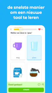 Duolingo: Taallessen screenshot