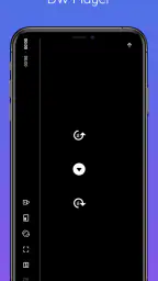 DW Player 1