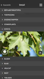Ebben TreeEbb 4