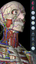 Essential Anatomy 5 1
