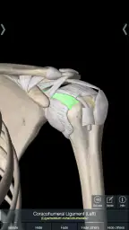 Essential Anatomy 5 2