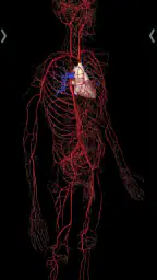 Essential Anatomy 5 3