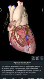 Essential Anatomy 5 4