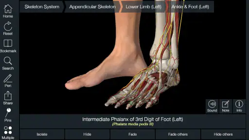 Essential Anatomy 5 5