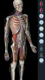 Essential Anatomy 5 7