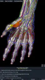 Essential Anatomy 5 8