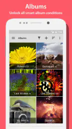 F-Stop Gallery Pro 4