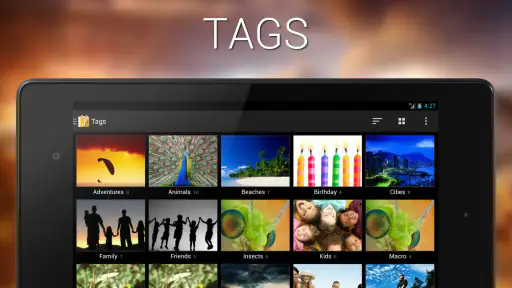 F-Stop Gallery Pro 8