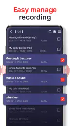 geluidsrecorder 2