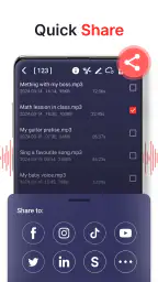 geluidsrecorder 6