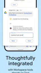 Google Chat 8