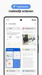 Google Chrome 4