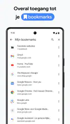 Google Chrome 8