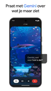 Google Gemini screenshot