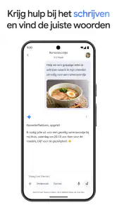 Google Gemini screenshot