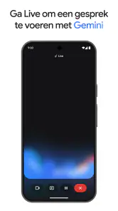 Google Gemini screenshot