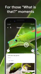 Google Lens 8