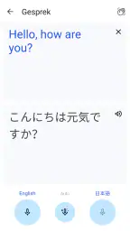 Google Translate 5