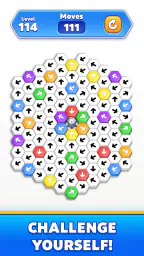 Hexa Blast 5