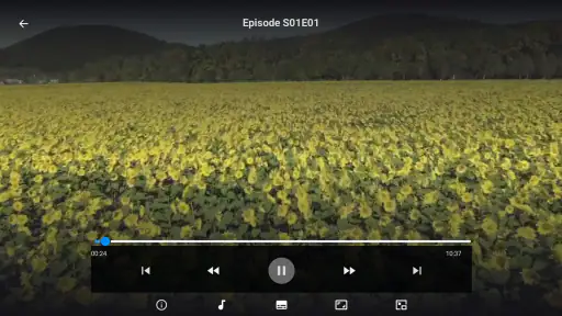 Ib Player - Smarter Live TV 2