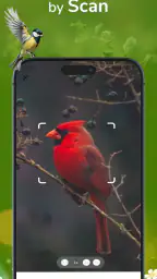 ID Bird: Bird Call Identifier 2