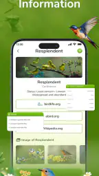 ID Bird: Bird Call Identifier 4