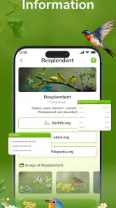 ID Bird: Bird Call Identifier screenshot
