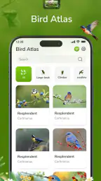 ID Bird: Bird Call Identifier 5
