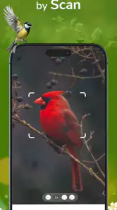 ID Bird: Bird Call Identifier screenshot