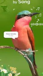 ID Bird: Bird Call Identifier 7
