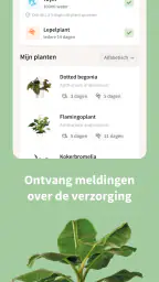 Intratuin: planten & wonen 3