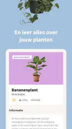 Intratuin: planten & wonen 6