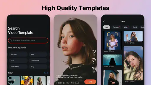 KineMaster - Video Editor 1